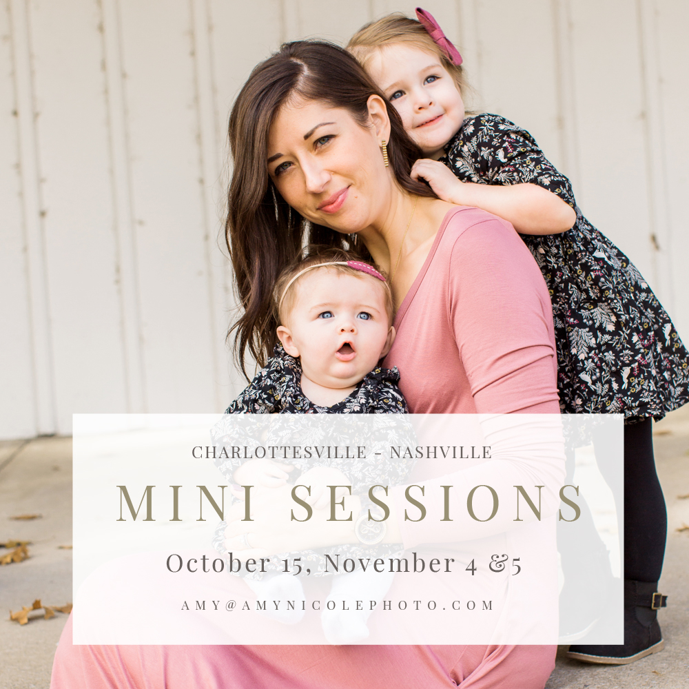 charlottesville fall mini sessions